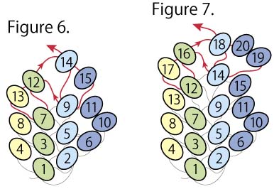 Figure 6. and Figure 7.