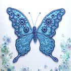 Blue Butterfly