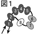 ラコタチェインのステッチの編み方の説明：図1