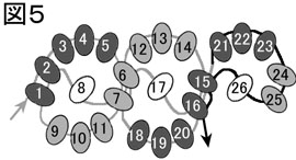 ラコタチェインのステッチの編み方の説明：図５