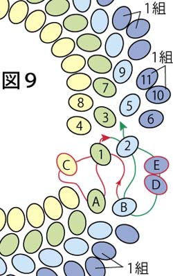 円形のプレイテッドヘリンボーンステッチの編み方の図９