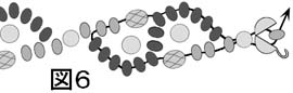 波模様のネックレスの作り方の図６