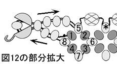 図12の部分拡大．ダイヤモンドチェインステッチのネックレスの作り方