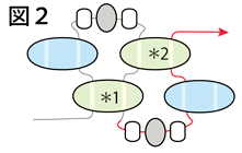 ツインビーズを使ったネックレスの作り方：図２